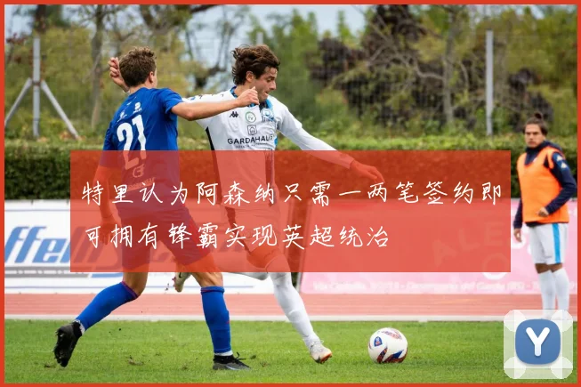 特里认为阿森纳只需一两笔签约即可拥有锋霸实现英超统治